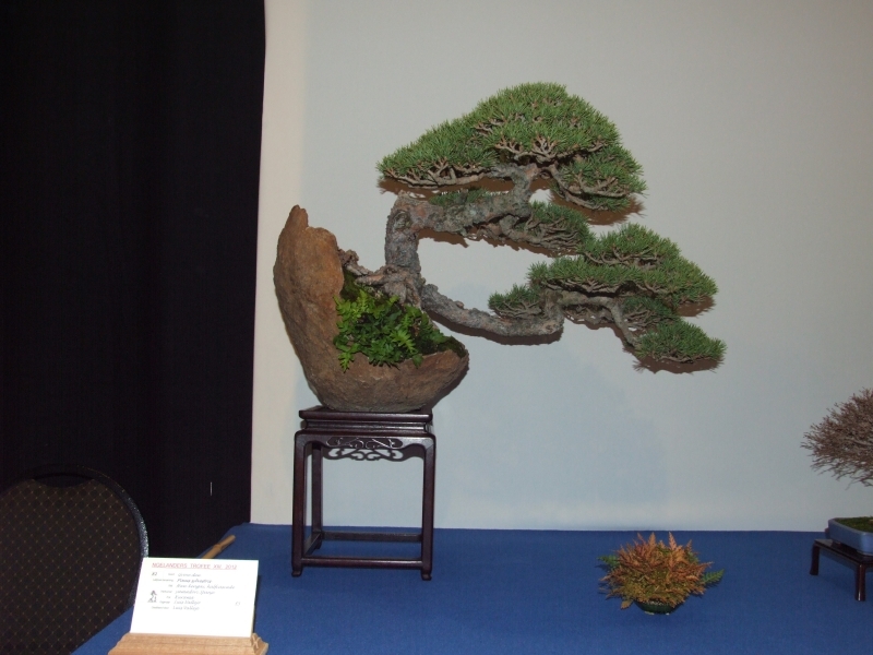 Noelanders Trophy XIII 2012 87f.jpg