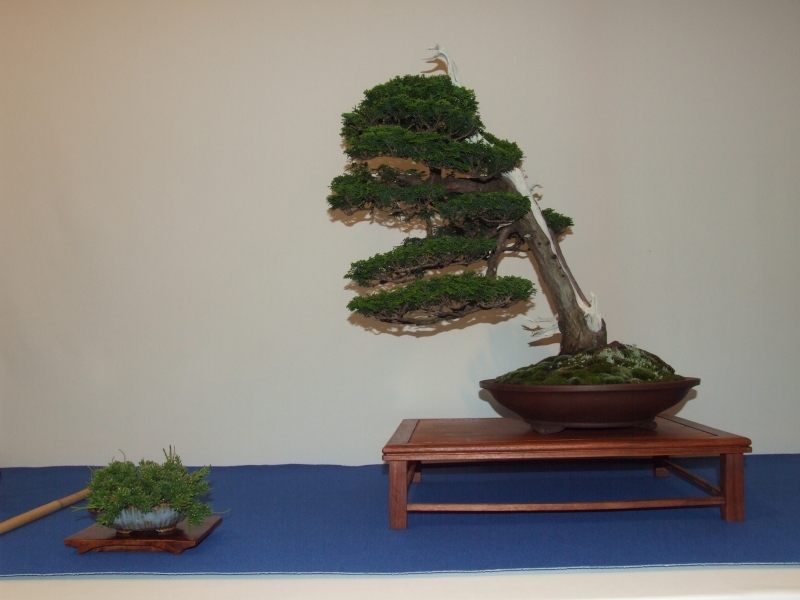 Noelanders Trophy XIII 2012 90c.jpg