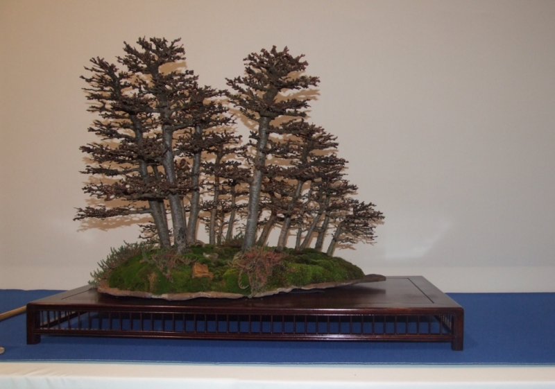 Noelanders Trophy XIII 2012 95b.jpg