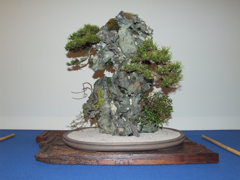 Noelanders Trophy XIII 2012 96b.jpg