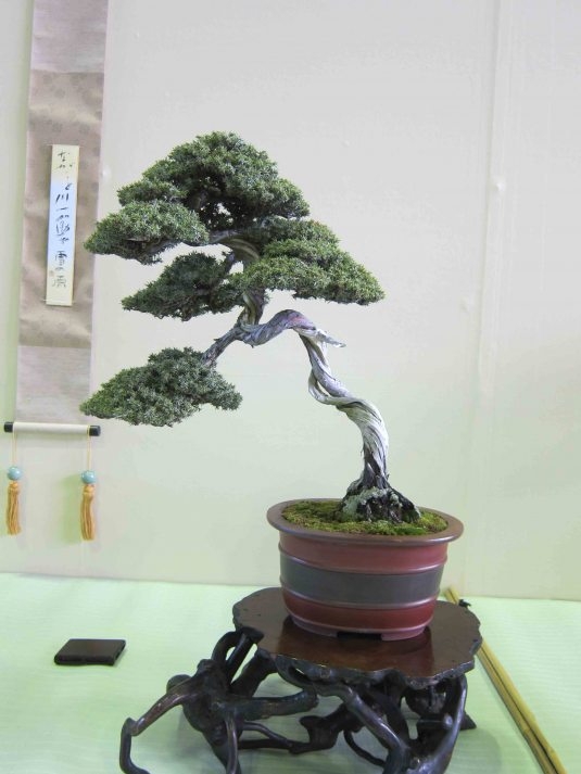 Meifu Ten 2012 001.jpg