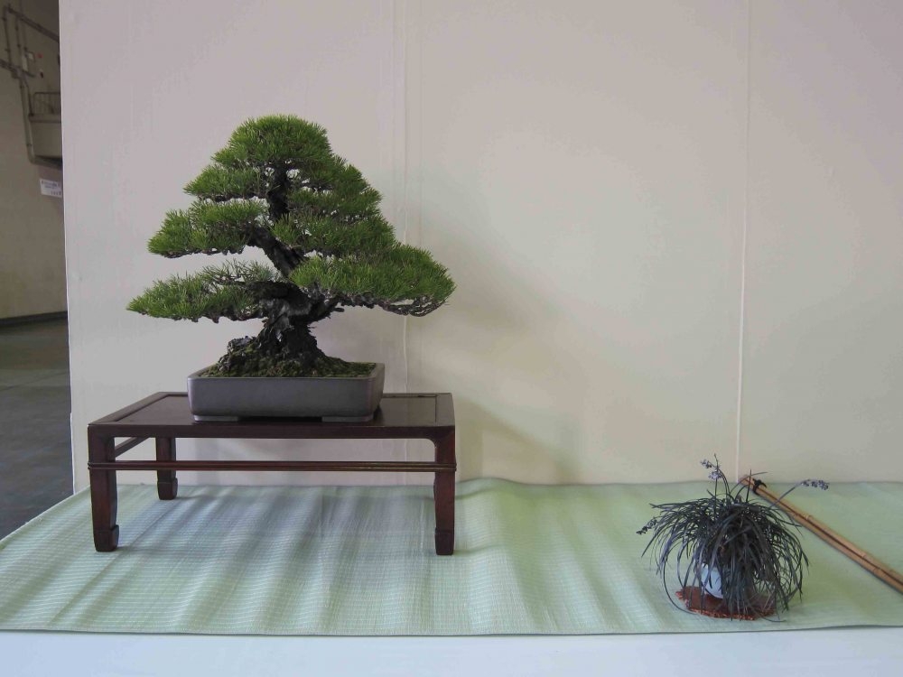 Meifu Ten 2012 002.jpg