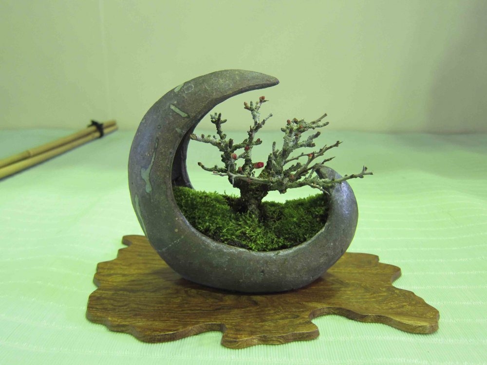 Meifu Ten 2012 012.jpg