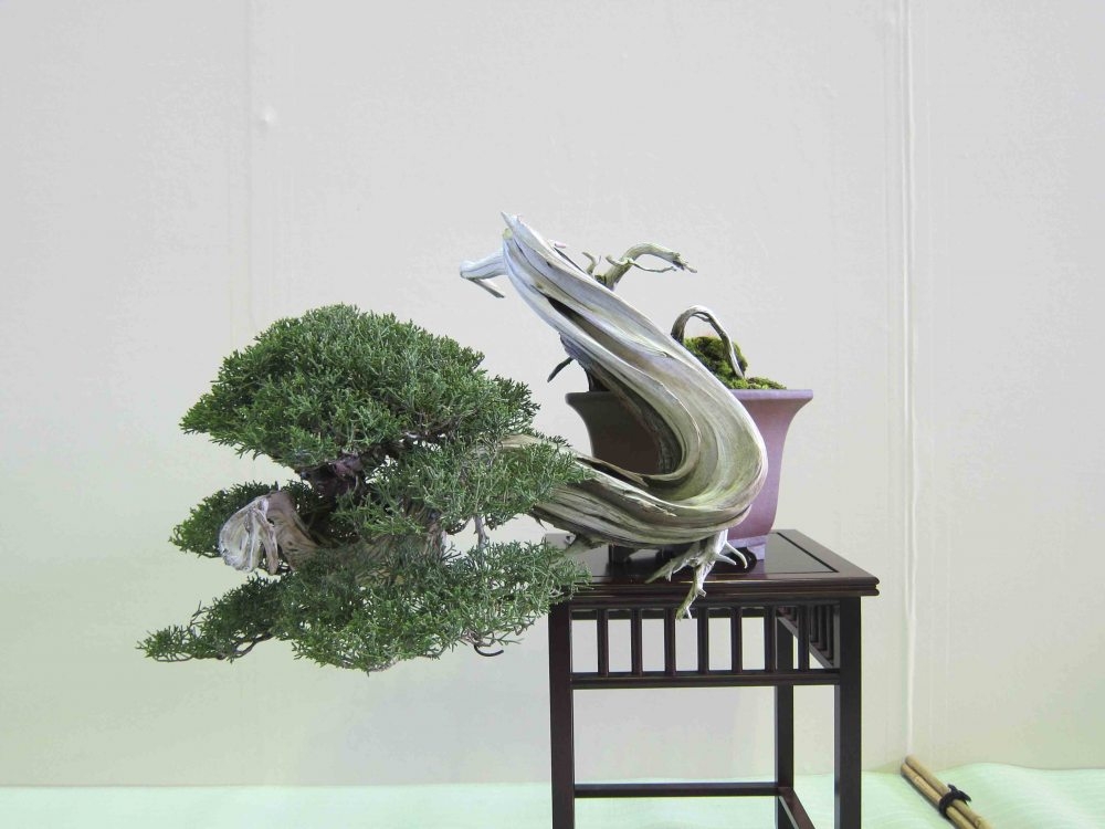 Meifu Ten 2012 018.jpg