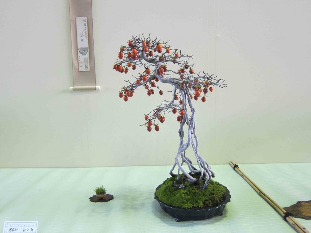 Meifu Ten 2012 019.jpg