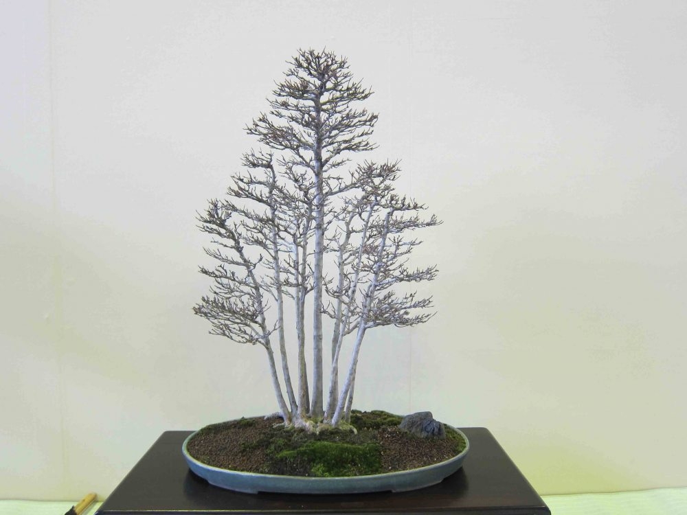 Meifu Ten 2012 021.jpg