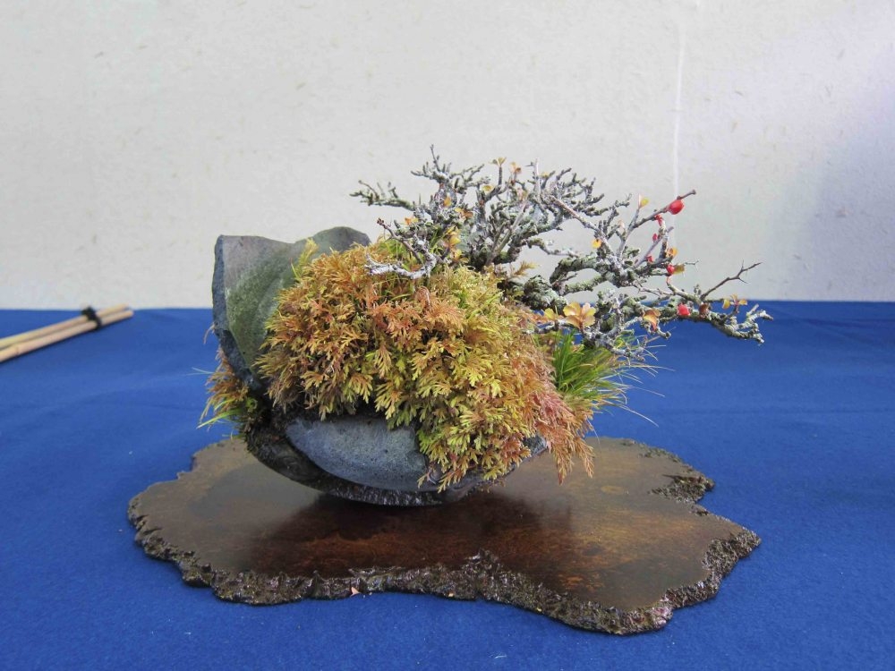 Meifu Ten 2012 024.jpg