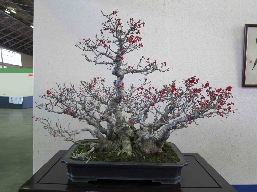 Meifu Ten 2012 030.jpg