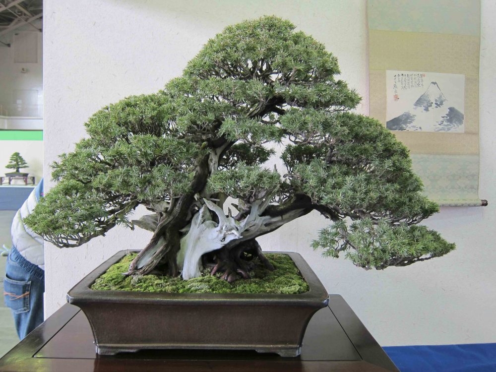 Meifu Ten 2012 032.jpg