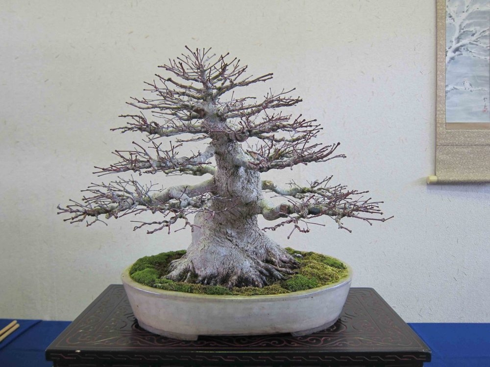 Meifu Ten 2012 035.jpg