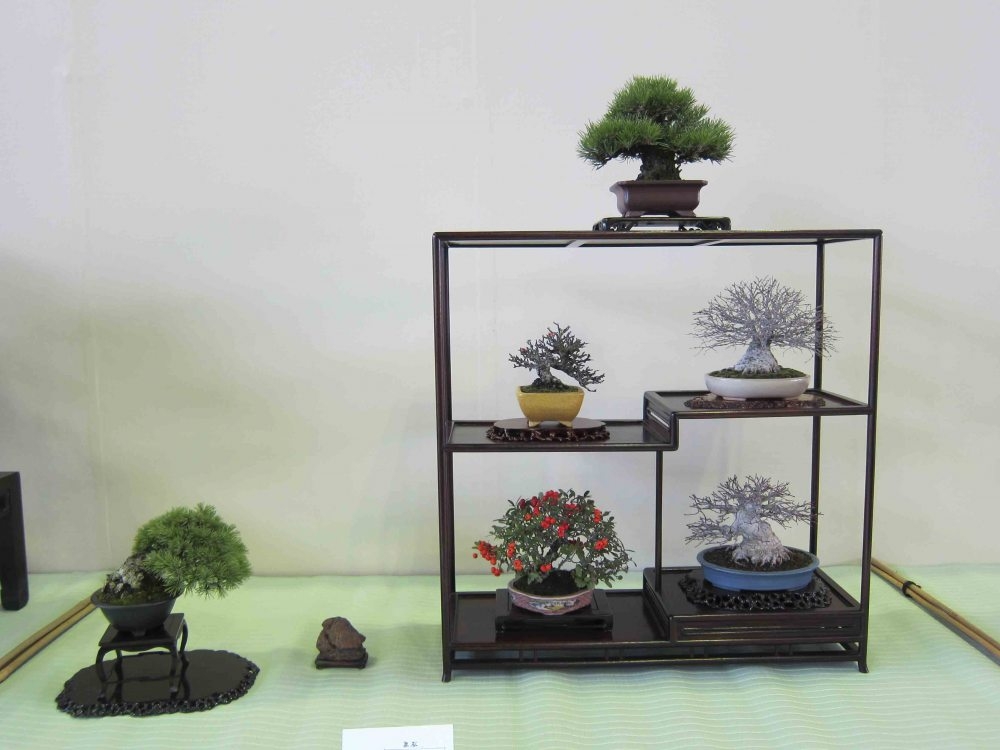 Meifu Ten 2012 036.jpg