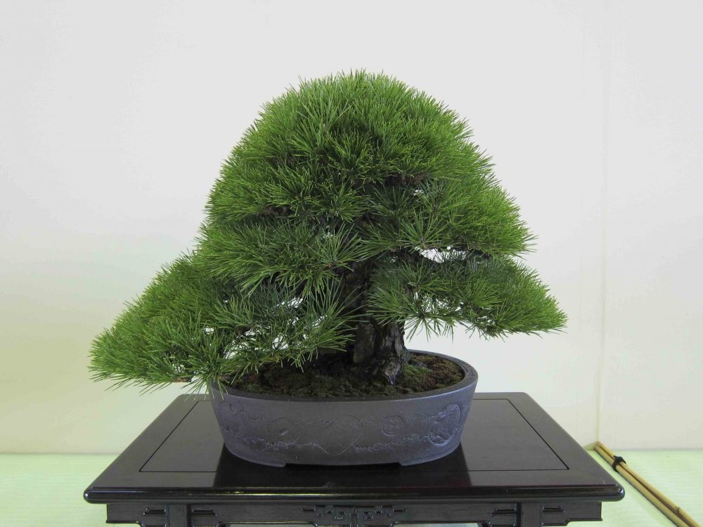 Meifu Ten 2012 038.jpg