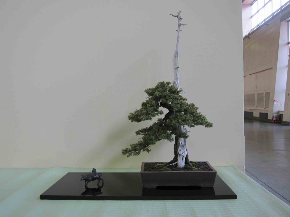 Meifu Ten 2012 046.jpg