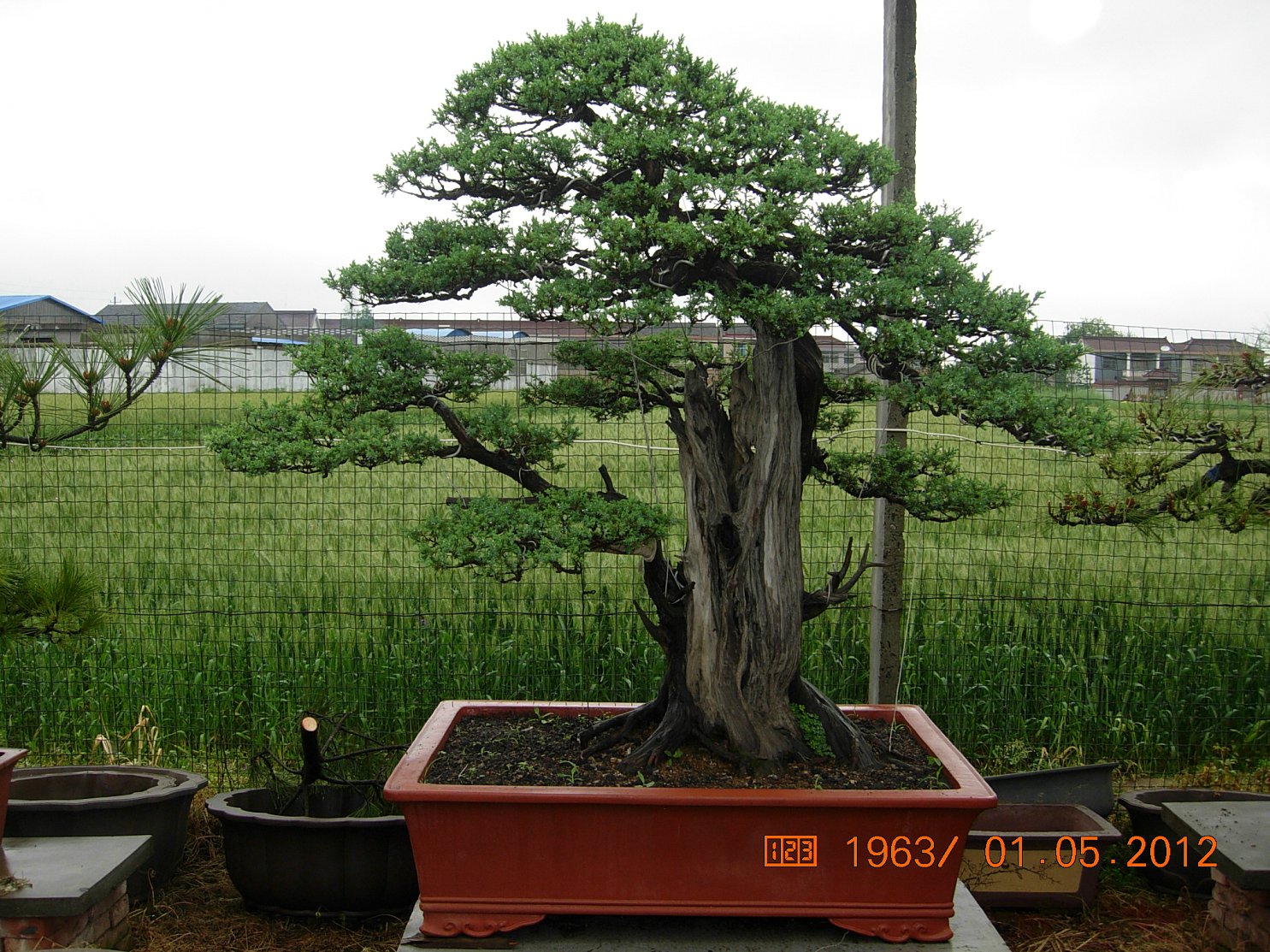 DSCN6090.JPG