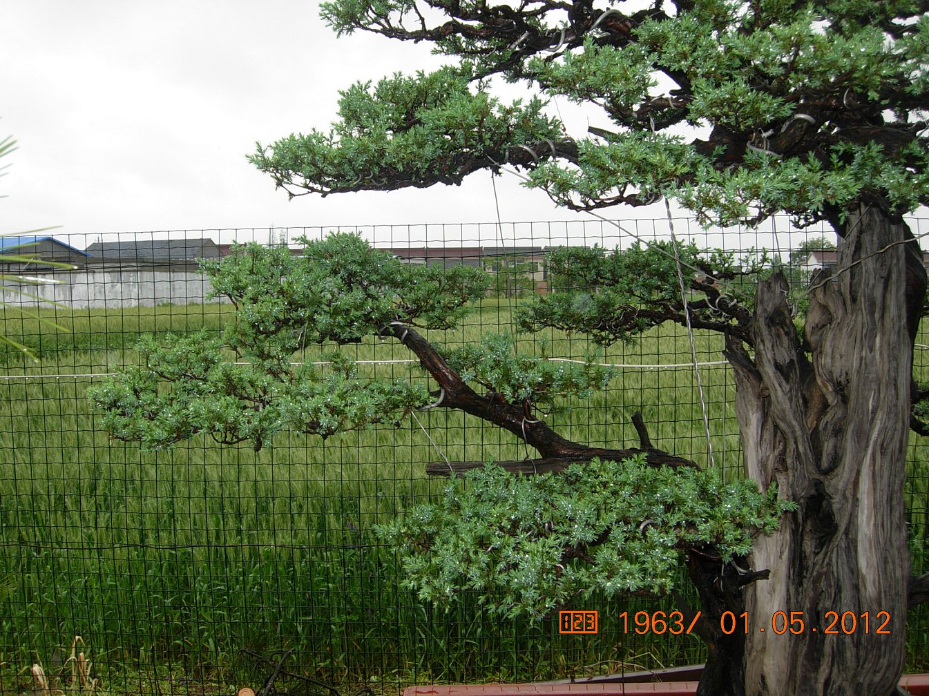 DSCN5990.JPG