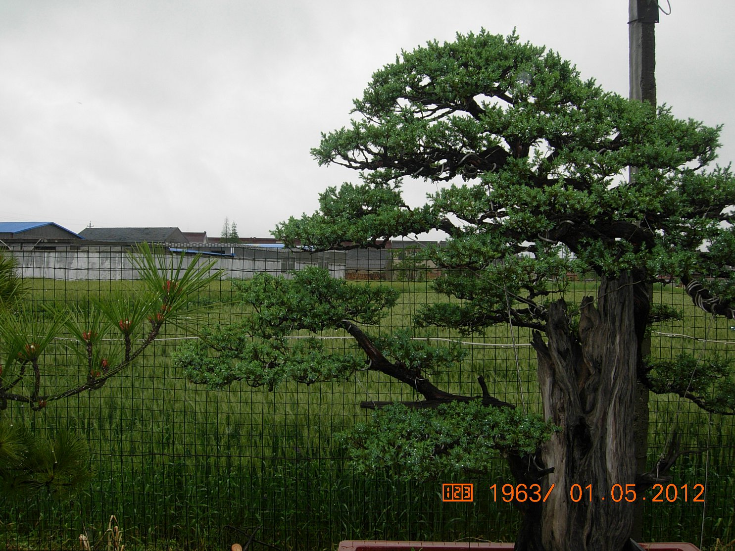 DSCN5991.JPG