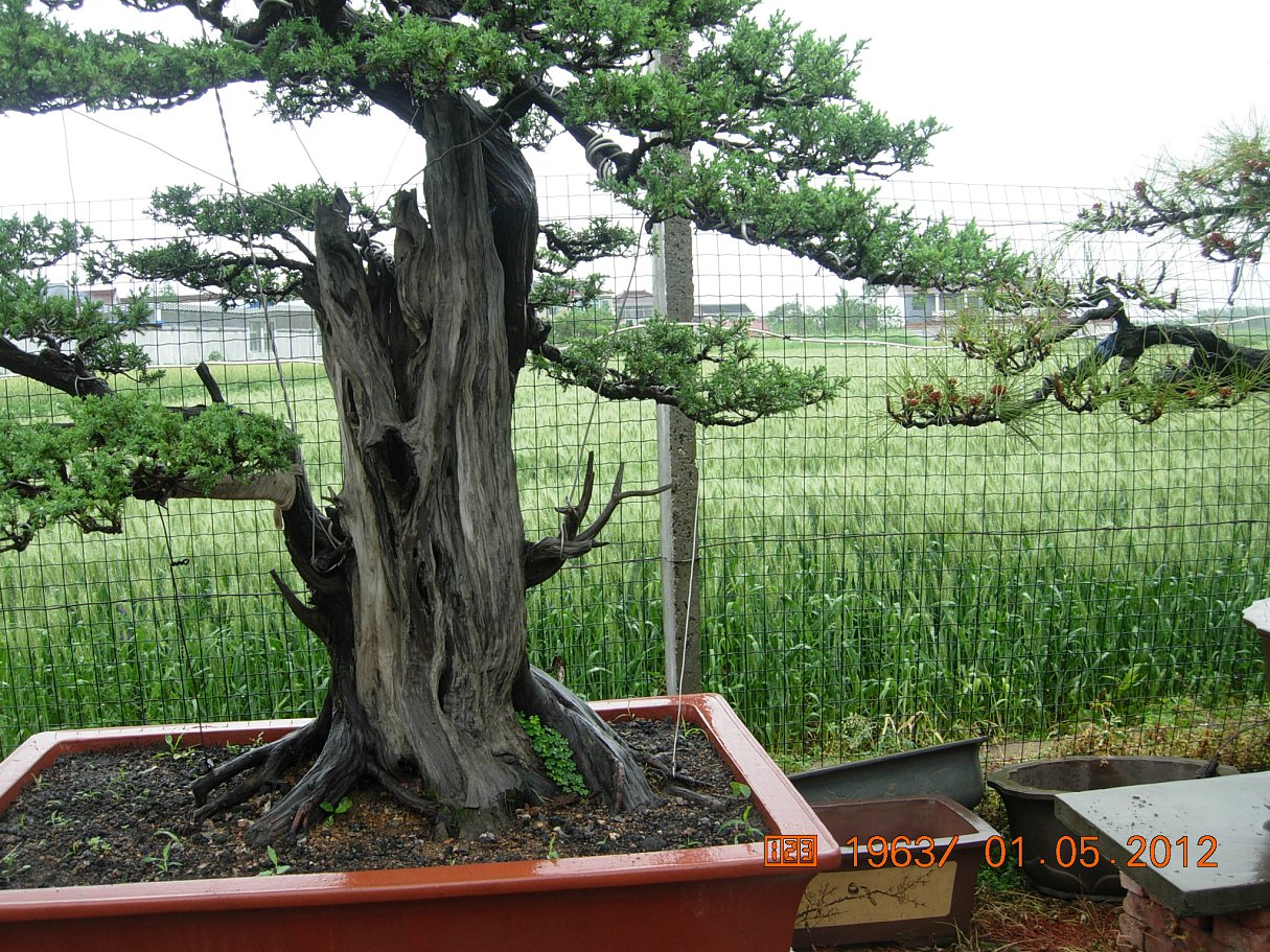 DSCN5992.JPG