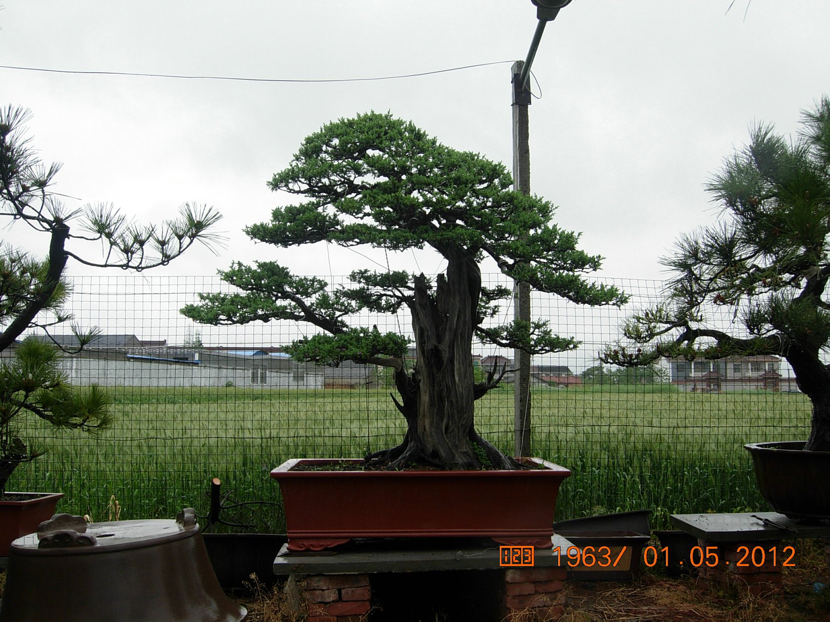 DSCN5986.JPG