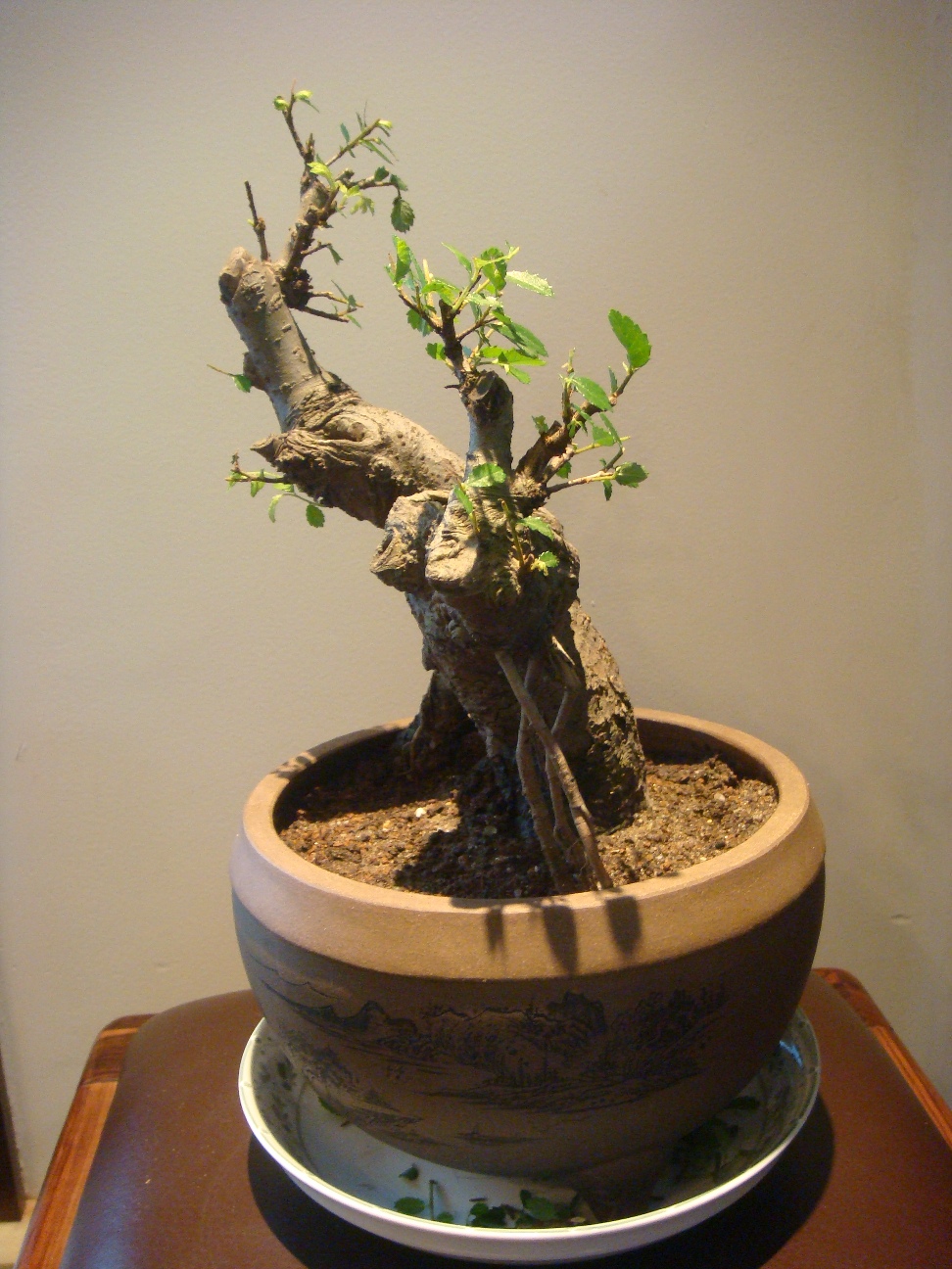 DSC04085.JPG