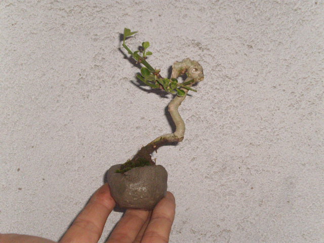 P4040197.JPG