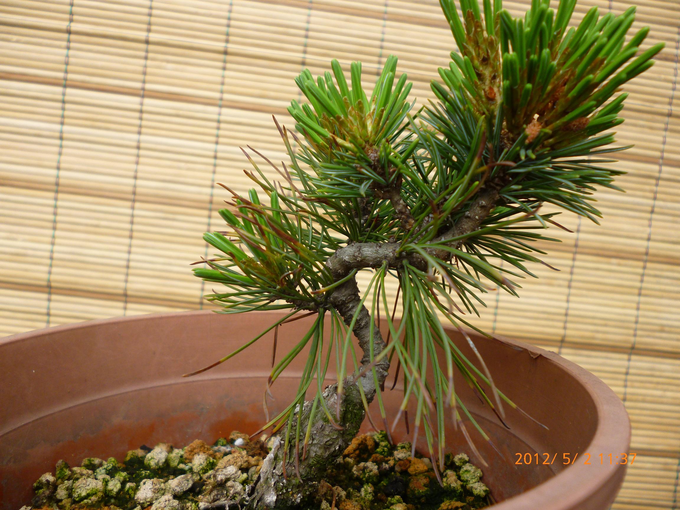 P1020121.JPG