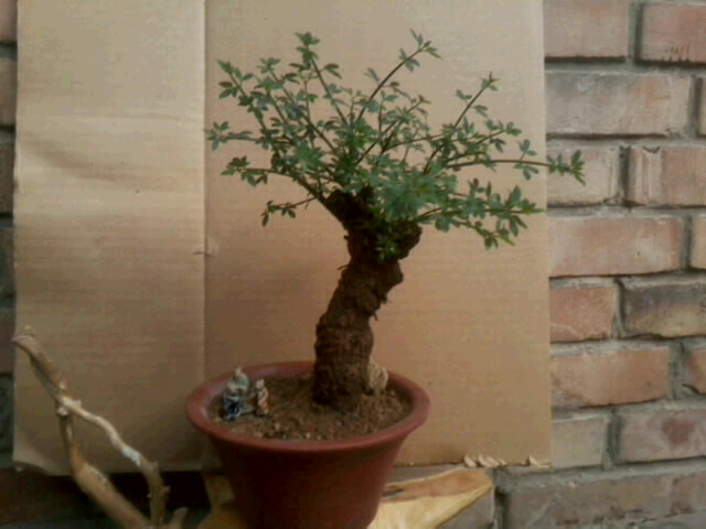 20120501_2222_0.jpg