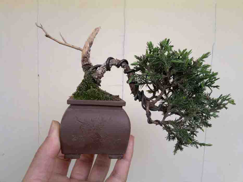 20120503906.jpg