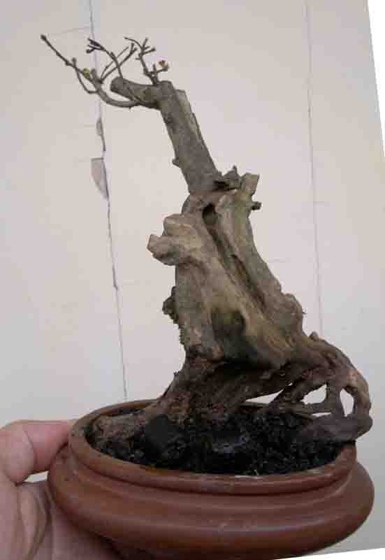 20120503908.jpg