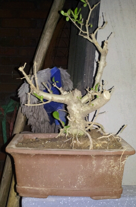 2012-05-02 11.06.37.jpg