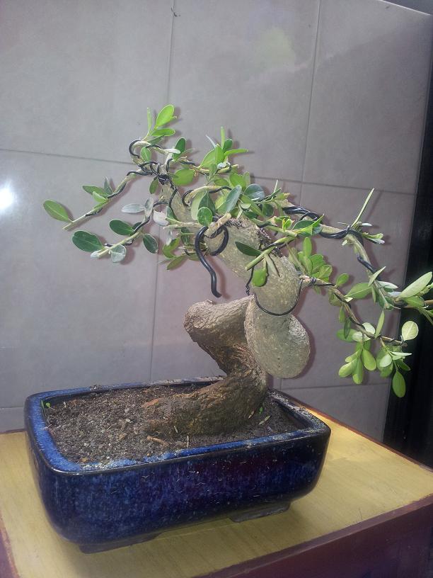 20120503_095857.jpg