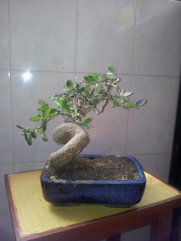 20120503_095940.jpg
