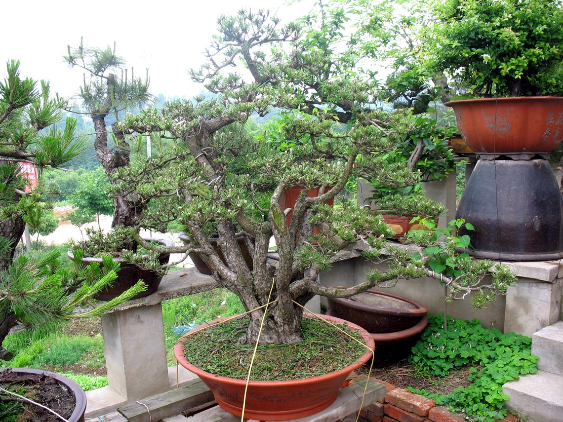 222 003.jpg
