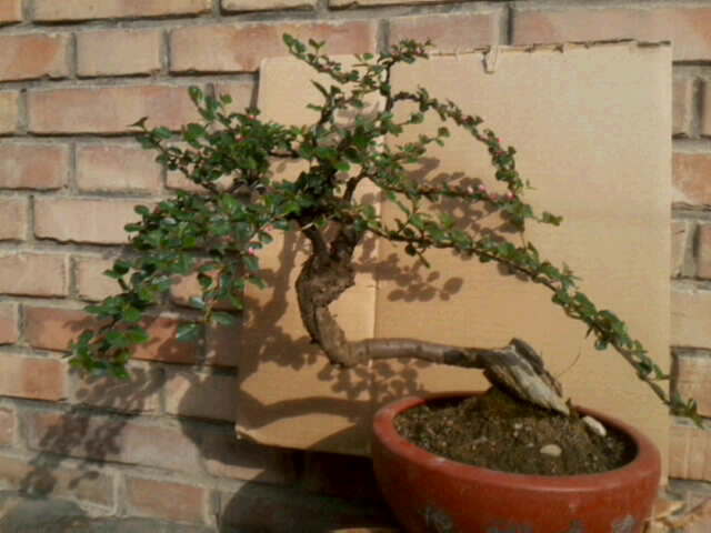 20120501_2234_0.jpg