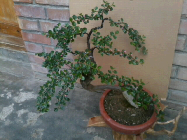 20120501_2234_1.jpg
