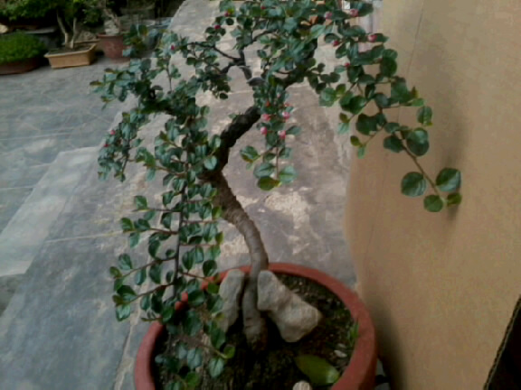 20120501_2234_2.jpg