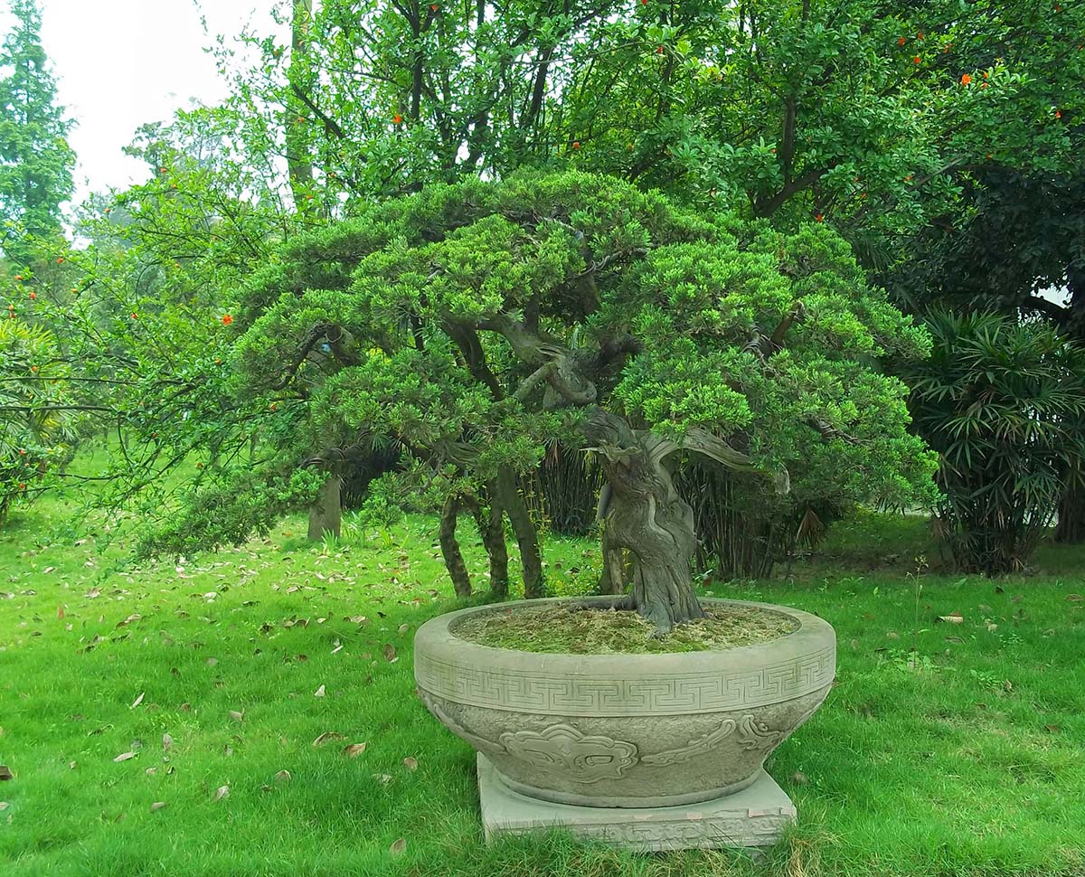100_7245.JPG