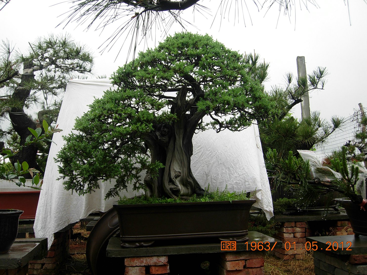 DSCN6022.JPG