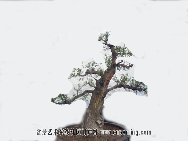 20080413_44ffb780019b20f00166NIL5e5vun9n9.jpg0.jpg