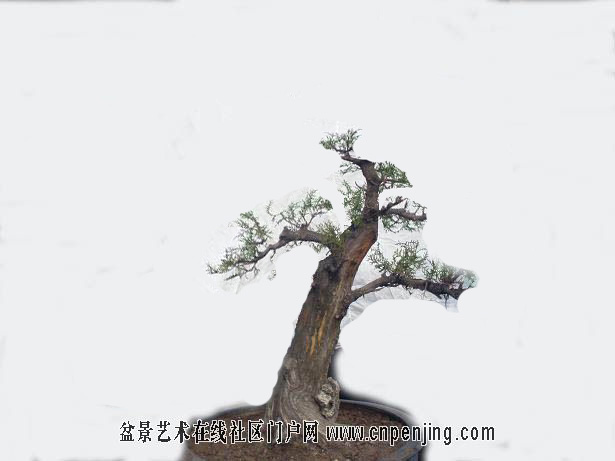 20080413_44ffb780019b20f00166NIL5e5vun9n9.jpg0.jpg0 .jpg
