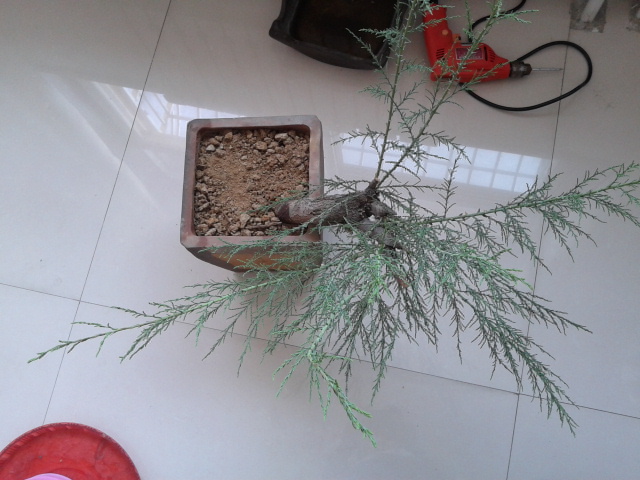 2012-05-05 08.25.56.jpg