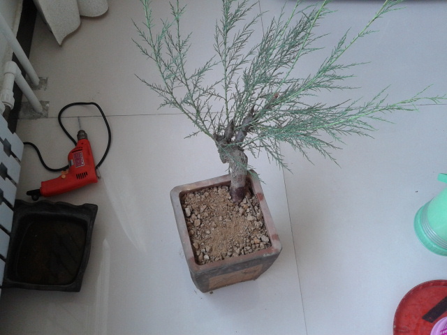 2012-05-05 08.26.14.jpg