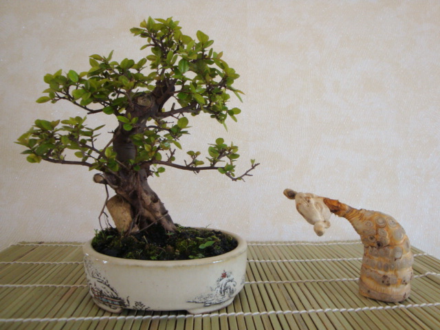 DSC08783.JPG