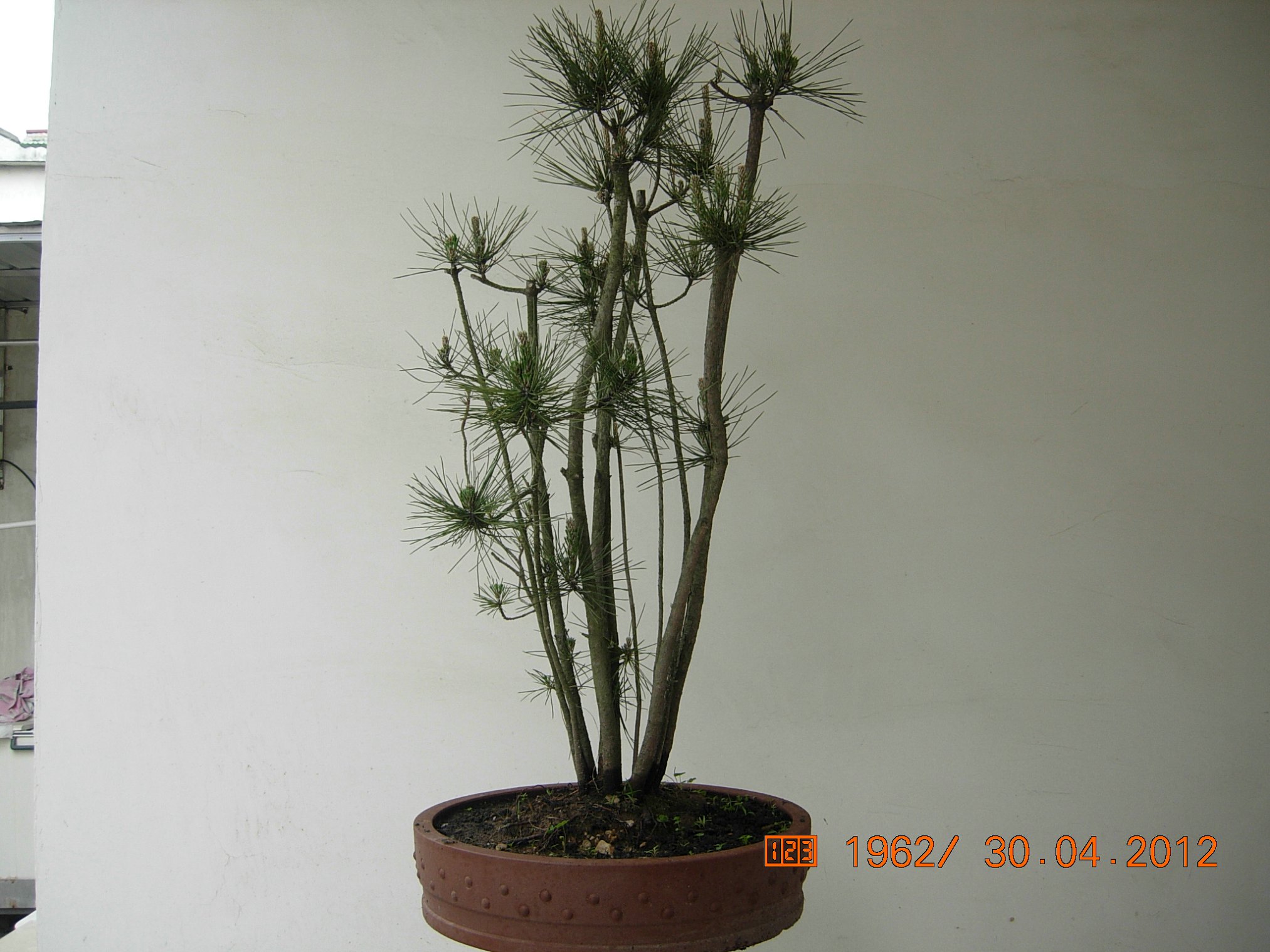 DSCN5804.JPG