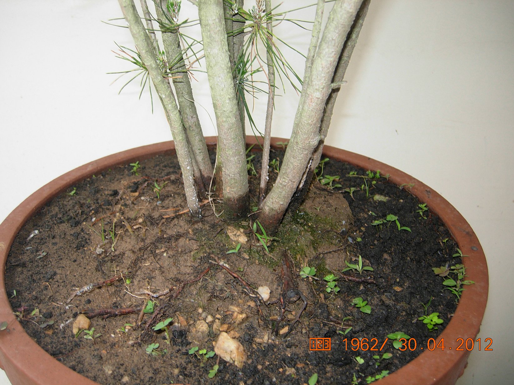DSCN5805.JPG