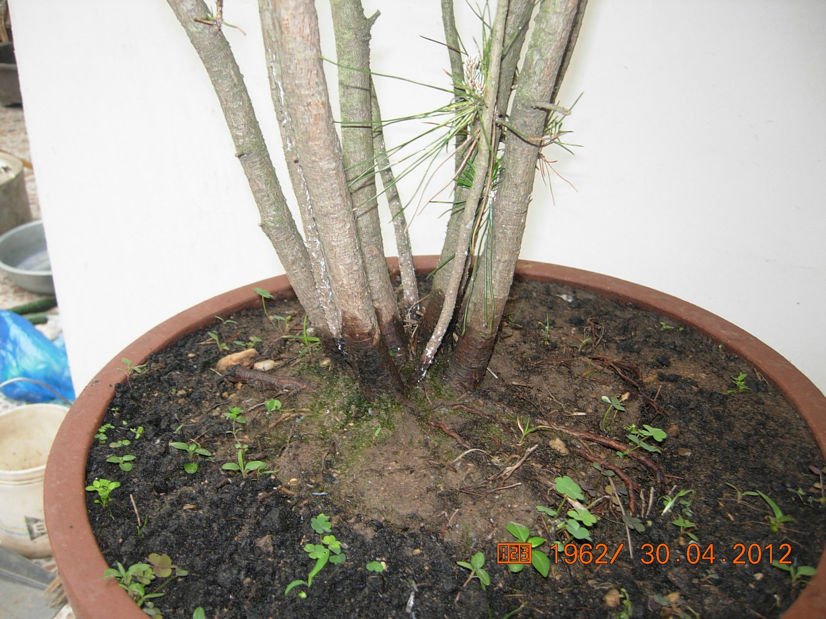 DSCN5806.JPG