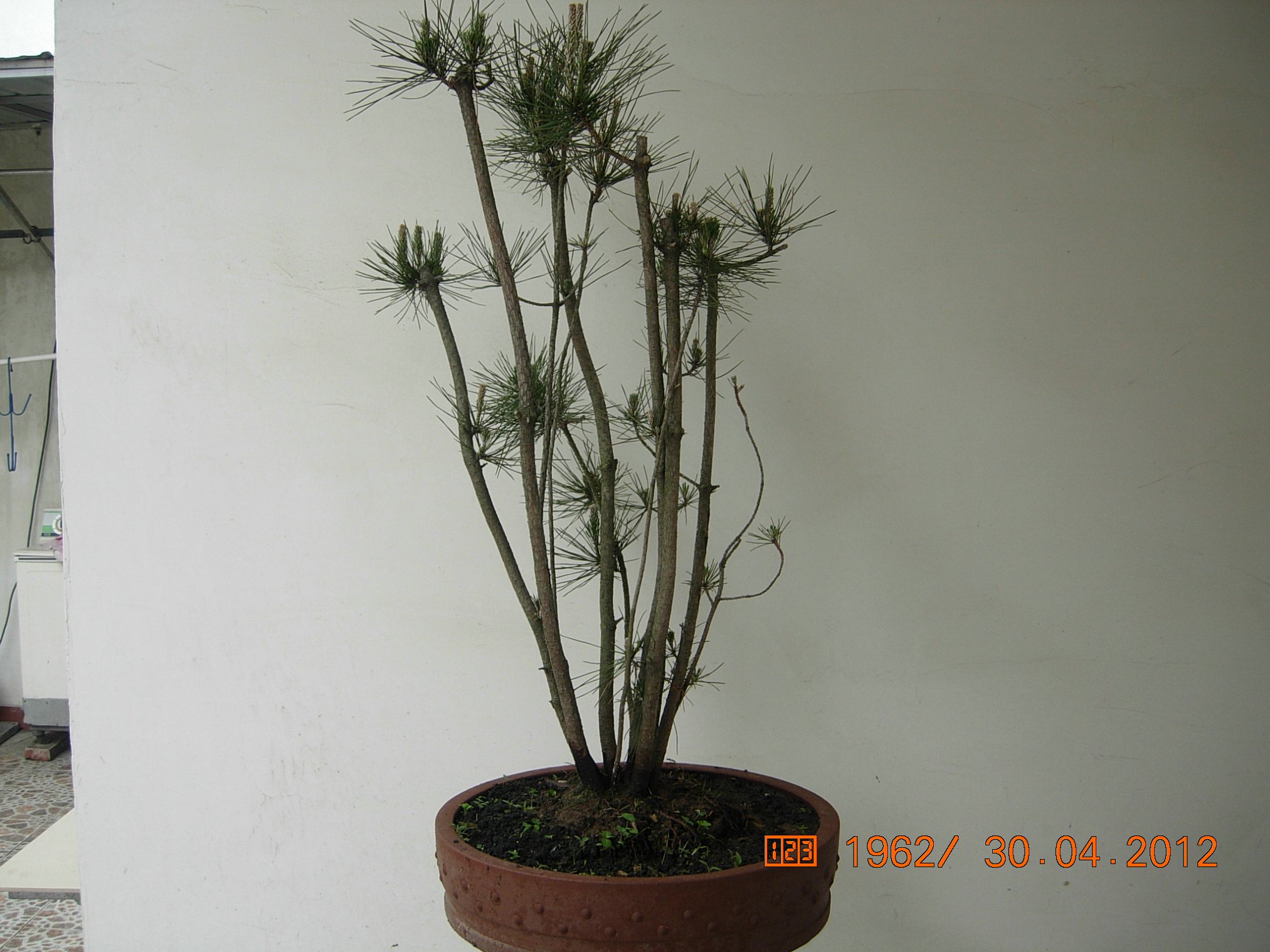 DSCN5807.JPG
