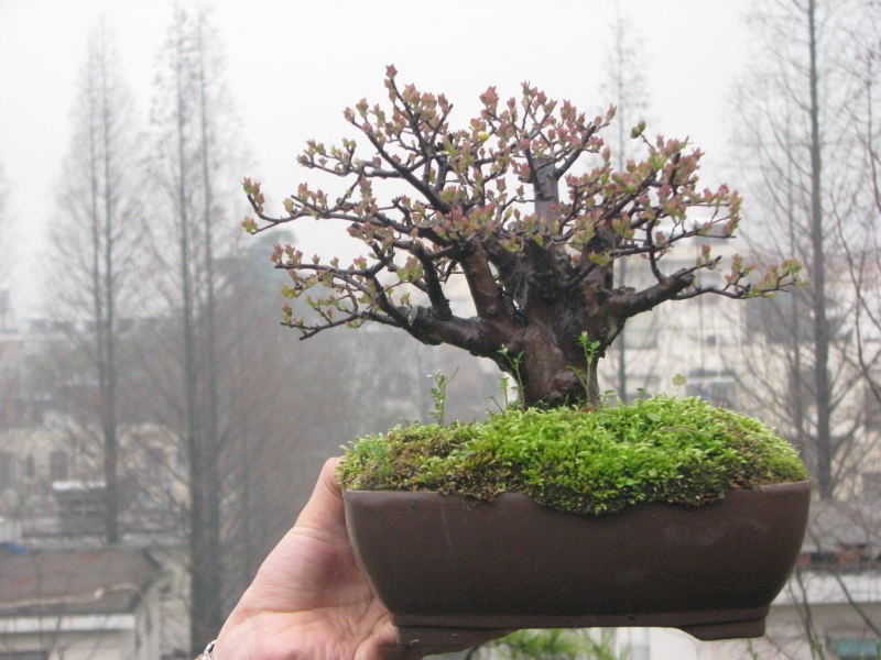 IMG_0026 (800x600).jpg