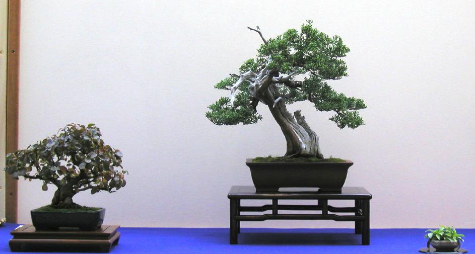 360ͼ20120505171447927.jpg