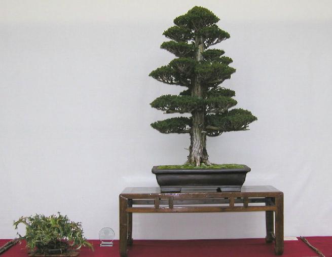 360ͼ20120505171719161.jpg