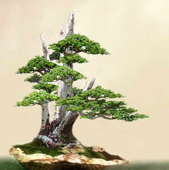 Royinsyah-Simulation.jpg